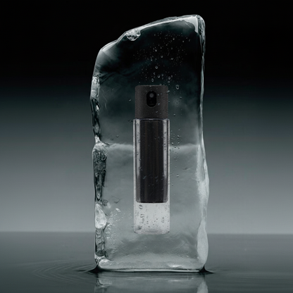 Portable Screen Cleaner Kit