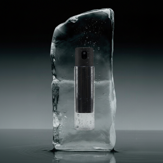 Portable Screen Cleaner Kit